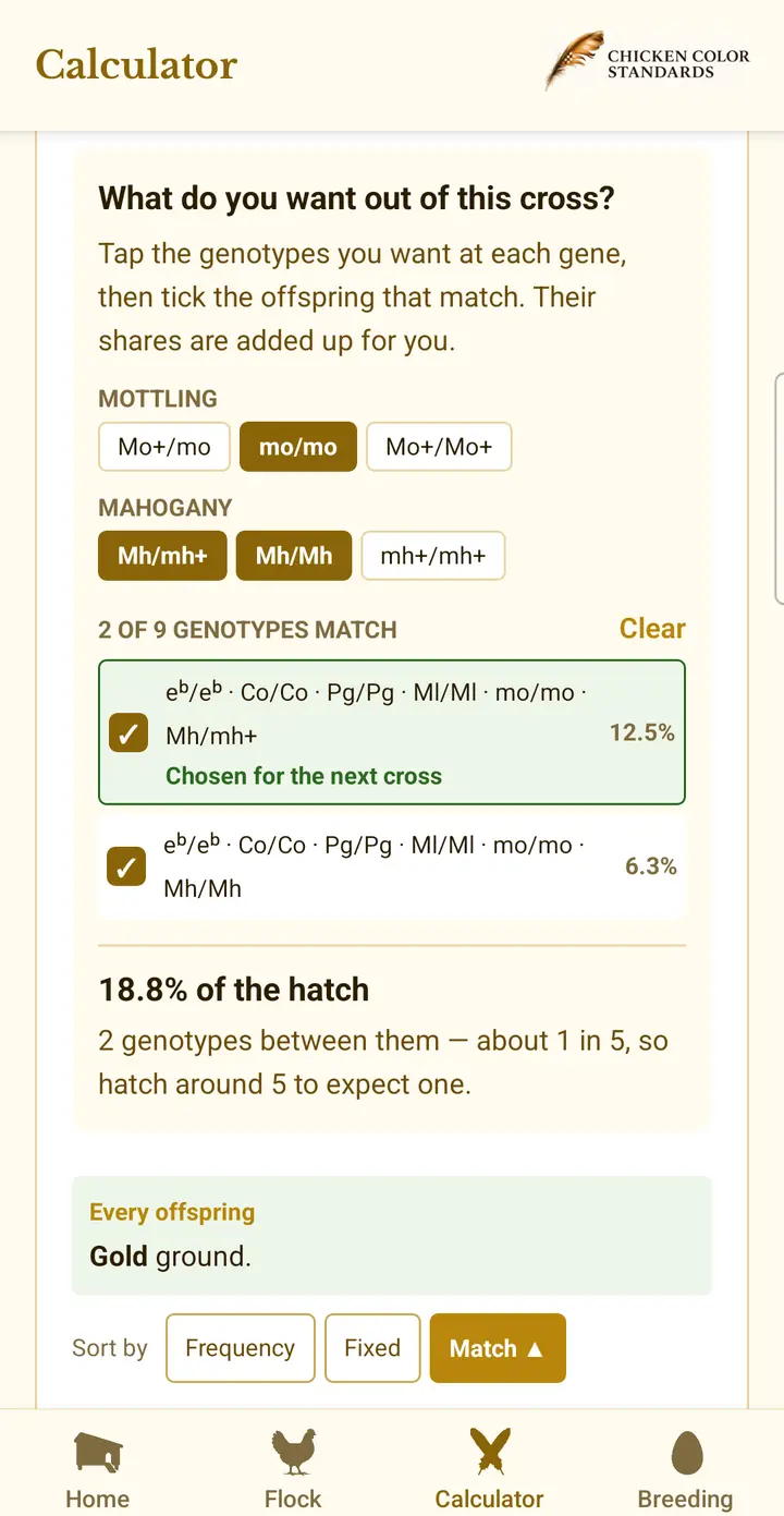 Chicken Genetics Calculator app screen: the genotypes wanted from a cross are selected, and the app adds them up to 18.8% of the hatch — about 1 in 5 chicks.