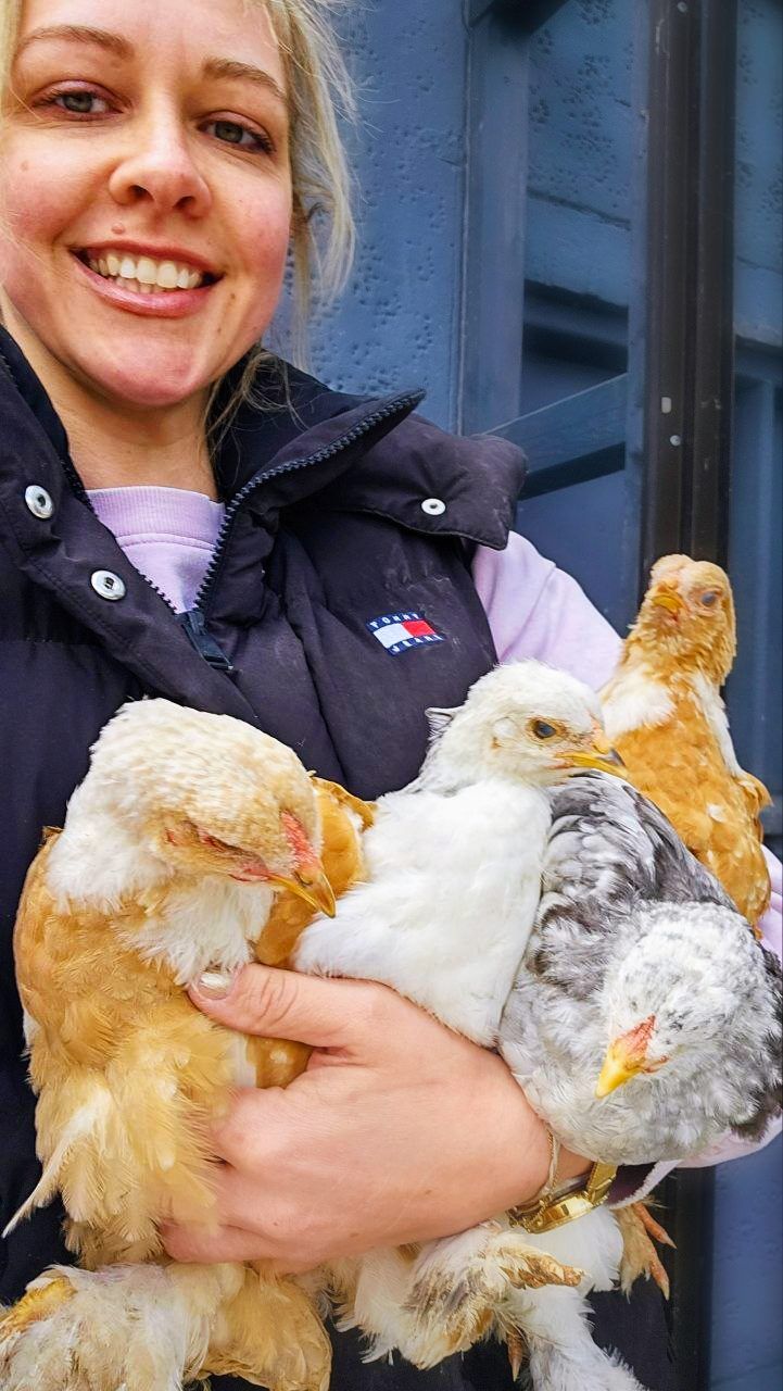 Dr. Anne Rainville smiling and holding three young Brahma chickens outdoors at Wolfhoeve.
